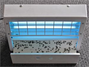 fly trap traps restaurant commercial glue insect control flies zap paper indoor boards sticky restaurants bulbs trafficdoorsandmore call replacement dining